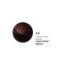 Jeval 5.4 100g