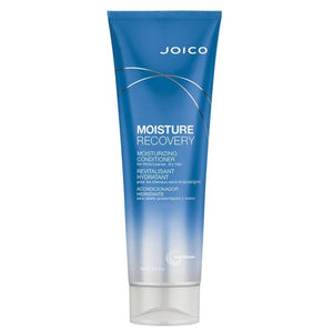 Joico Moisture Recovery Conditioner