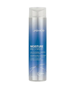 Joico Moisture Recovery Shampoo