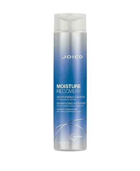 Joico Moisture Recovery Shampoo